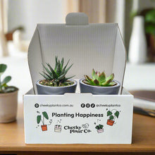 Load image into Gallery viewer, Assorted Potted Succulent Duo