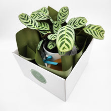 Load image into Gallery viewer, Client Welcome Gift Hamper - Sydney Only