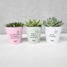 Load image into Gallery viewer, Trio Assorted Succulents in Positive Pots (11cmDx11cmH) - Sydney Only
