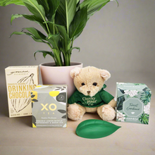 Load image into Gallery viewer, Thinking of You Plant Hamper - Sydney Only