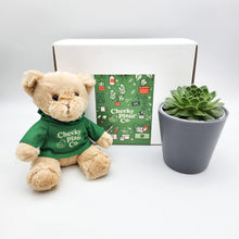 Load image into Gallery viewer, Teddy Bear & Succulent Gift Box