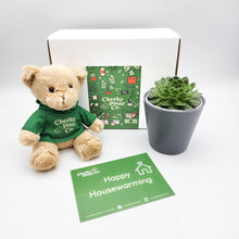 Load image into Gallery viewer, Teddy Bear & Succulent Gift Box