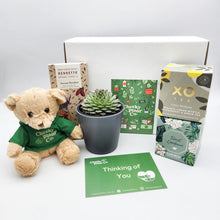 Load image into Gallery viewer, Thinking of You - Succulent Hamper / Succulent Gift Box