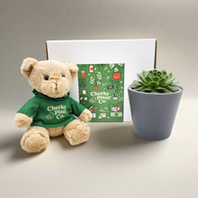 Load image into Gallery viewer, Teddy Bear & Succulent Gift Box