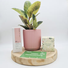 Load image into Gallery viewer, Pink Housewarming Plant Gift Hamper - Sydney Only