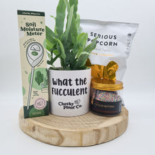 Load image into Gallery viewer, What The Fucculent - Plant Gift Hamper - Sydney Only