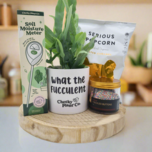 Load image into Gallery viewer, What The Fucculent - Plant Gift Hamper - Sydney Only