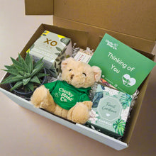Load image into Gallery viewer, Thinking of You - Succulent Hamper / Succulent Gift Box