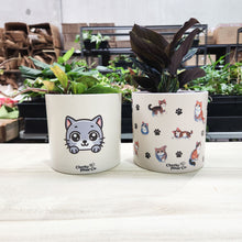 Load image into Gallery viewer, Cute Cats Duo Pack - Cheeky Plant Co. Pots - 12.5cmD x 12cmH