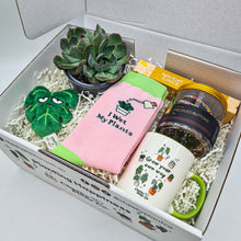 Load image into Gallery viewer, Planty of Love - Succulent Gift Box