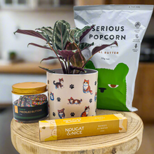 Load image into Gallery viewer, Cat Lovers - Pet Friendly Plant Gift Hamper - Sydney Only