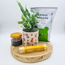 Load image into Gallery viewer, Dog Lovers - Pet Friendly Plant Gift Hamper - Sydney Only
