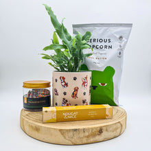 Load image into Gallery viewer, Dog Lovers - Pet Friendly Plant Gift Hamper - Sydney Only