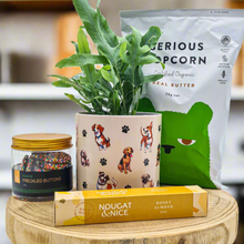 Load image into Gallery viewer, Dog Lovers - Pet Friendly Plant Gift Hamper - Sydney Only