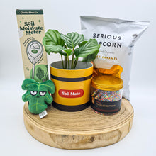 Load image into Gallery viewer, Soil Mate Birthday Plant Gift Hamper - Sydney Only