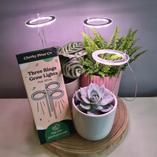 Load image into Gallery viewer, Essential Plant Care Starter Pack