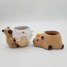 Load image into Gallery viewer, Capybara Four Pots Pack