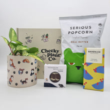 Load image into Gallery viewer, Cat Lovers Plant Gift Box
