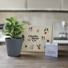 Load image into Gallery viewer, Tea & Plant Gift Box