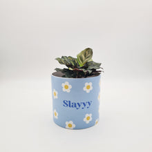 Load image into Gallery viewer, Slayyy - Cheeky Plant Co. Pot - 12.5cmD x 12cmH