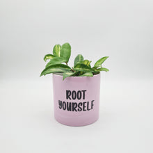 Load image into Gallery viewer, Root Yourself - Cheeky Plant Co. Pot - 12.5cmD x 12cmH