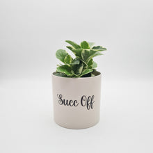 Load image into Gallery viewer, Succ Off - Cheeky Plant Co. Pot - 12.5cmD x 12cmH