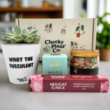 Load image into Gallery viewer, Cheeky Vibes - Succulent Gift Box
