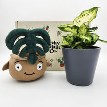 Load image into Gallery viewer, Plushie & Plant Gift Box