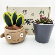 Load image into Gallery viewer, Cheeky Snake Plant Plushie & Succulent Gift Box