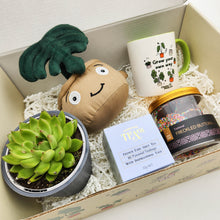 Load image into Gallery viewer, Happy Birthday - Succulent Gift Box