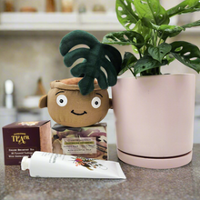 Load image into Gallery viewer, Happy Birthday Plant Hamper - Sydney Only