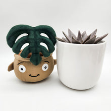 Load image into Gallery viewer, Succulent & Plant Plushie Gift - Sydney Only