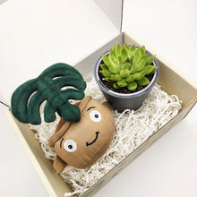 Load image into Gallery viewer, Cheeky Monstera Plant Plushie & Succulent Gift Box