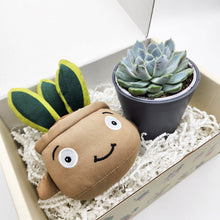 Load image into Gallery viewer, Cheeky Snake Plant Plushie & Succulent Gift Box