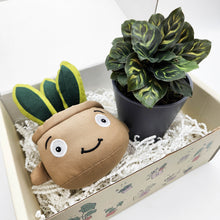 Load image into Gallery viewer, Plushie & Plant Gift Box