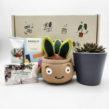 Load image into Gallery viewer, Happy Birthday - Succulent Hamper / Succulent Gift Box