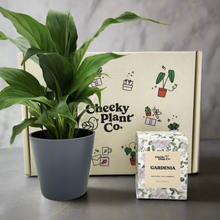 Load image into Gallery viewer, Peace Lily & Candle Gift Box