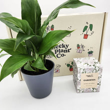 Load image into Gallery viewer, Peace Lily & Candle Gift Box