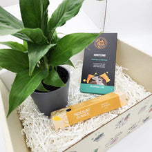Load image into Gallery viewer, Peace Lily Condolence Gift Box