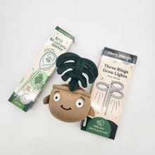 Load image into Gallery viewer, Essential Plant Care Starter Pack