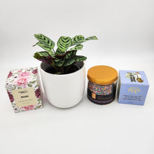 Load image into Gallery viewer, Wedding / Engagement - Plant Gift Hamper - Sydney Only