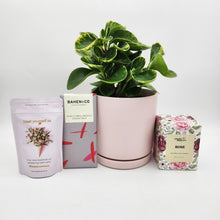 Load image into Gallery viewer, I Love You Plant Gift Hamper - Sydney Only