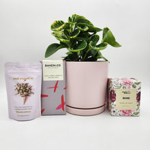 Load image into Gallery viewer, I Love You Plant Gift Hamper - Sydney Only