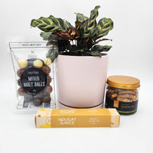 Load image into Gallery viewer, Happiest Birthday Plant Gift Hamper - Sydney Only