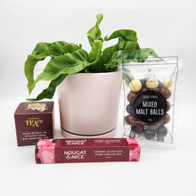 Load image into Gallery viewer, Sincere Sympathy Plant Gift Hamper - Sydney Only