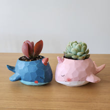 Load image into Gallery viewer, Blue and Pink Whales Duo Pots Pack