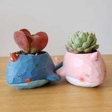 Load image into Gallery viewer, Blue and Pink Whales Duo Pots Pack