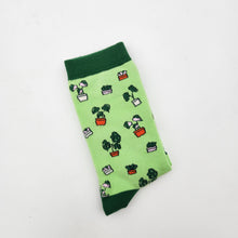 Load image into Gallery viewer, Plant Lover Socks - Plant Pattern - Cheeky Plant Co.