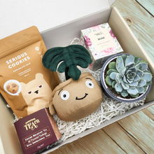 Load image into Gallery viewer, Thank You - Succulent Hamper / Succulent Gift Box