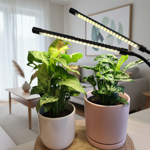 Load image into Gallery viewer, 2 Headed LED Indoor Plant Grow Lights - White - Cheeky Plant Co.